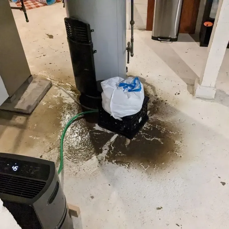 Sewage Backup Cleanup Service in Visitacion Valley, CA